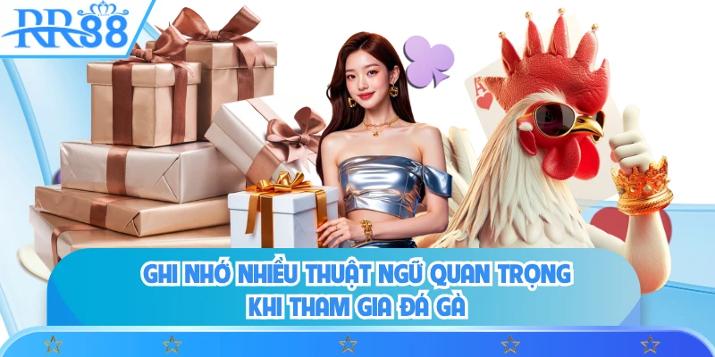 Ghi nhớ nhiều thuật ngữ quan trọng khi tham gia đá gà